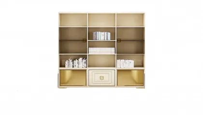 Wall Unit Collier-Measuring height 250 cm x width 285 cm x depth 50 cm