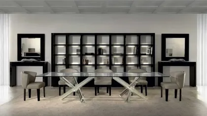 Avantgarde library, living room furniture